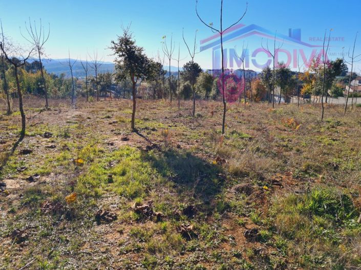 Image No.3-Plot for sale