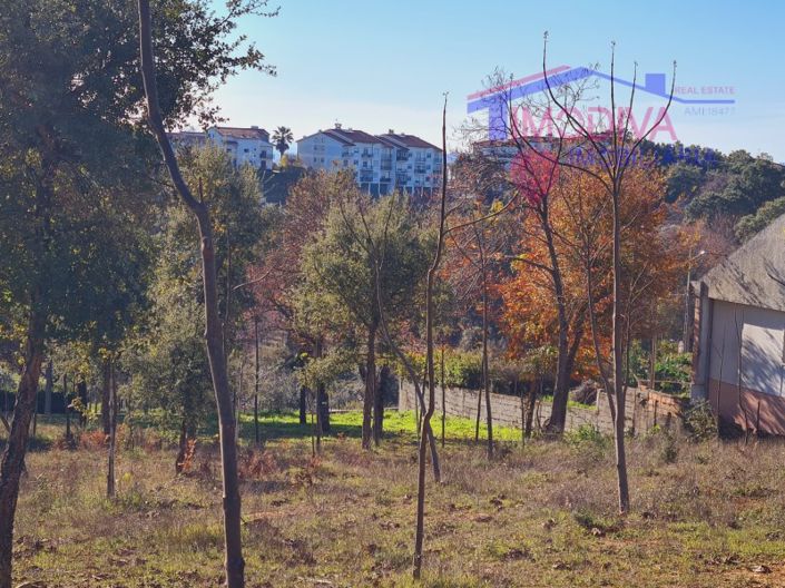 Image No.6-Plot for sale