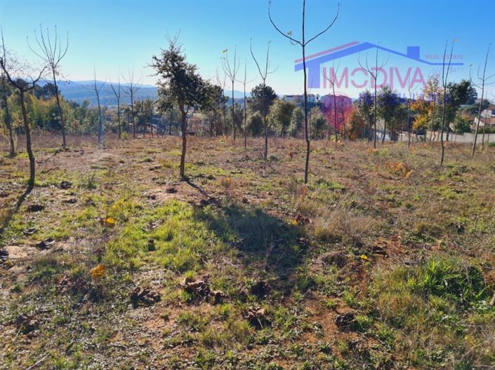 Image No.2-Plot for sale