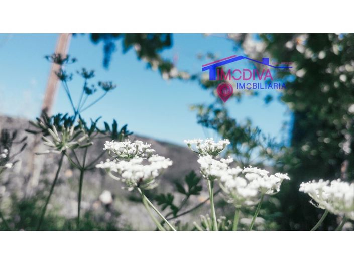 Image No.32-3 Bed House for sale