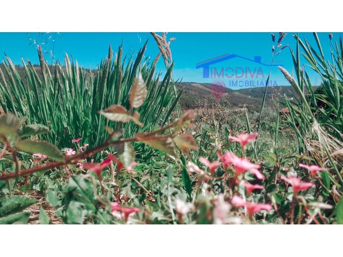 Image No.33-3 Bed House for sale