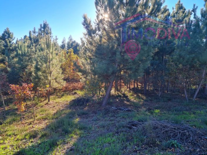 Image No.13-Plot for sale