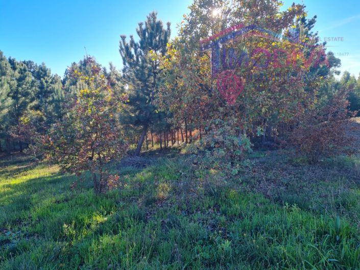 Image No.15-Plot for sale