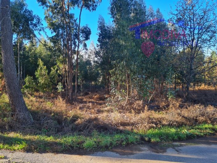 Image No.17-Plot for sale