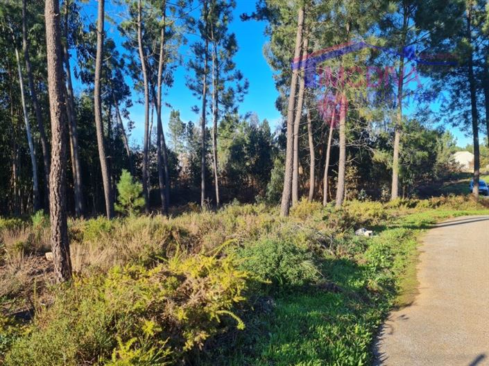 Image No.18-Plot for sale