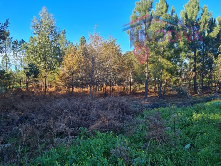 Image No.6-Plot for sale