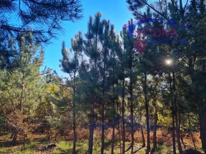 Image No.10-Plot for sale