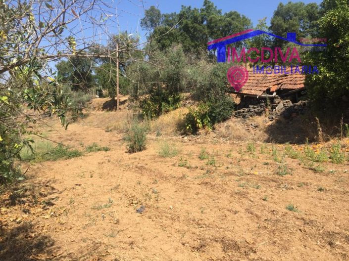 Image No.6-House for sale