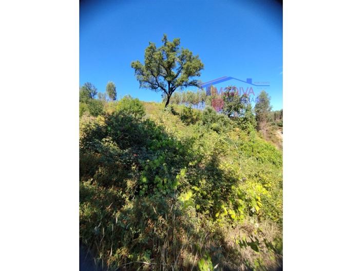 Image No.5-Plot for sale