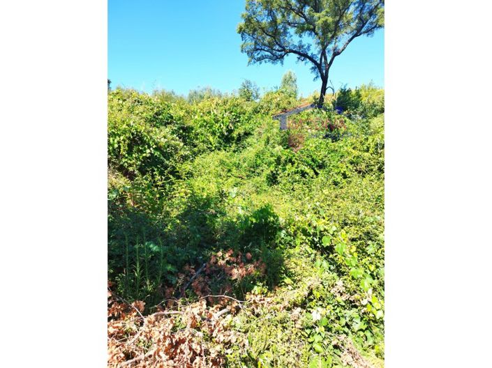 Image No.7-Plot for sale