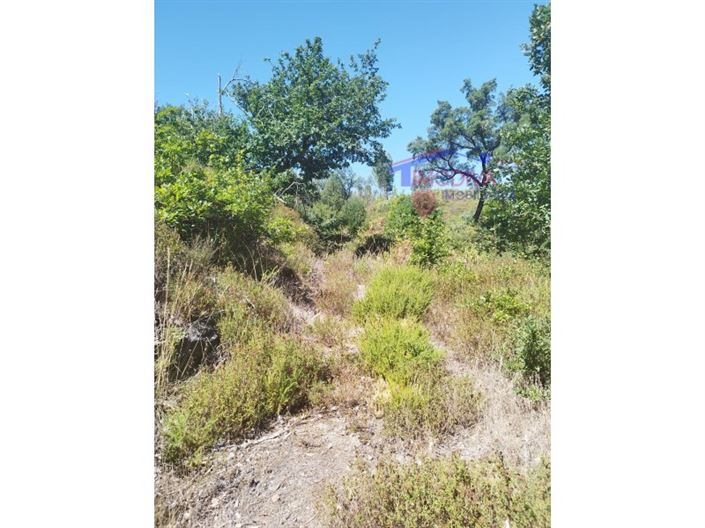 Image No.2-Plot for sale