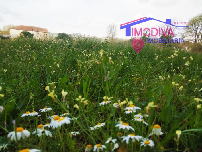 Image No.13-1 Bed House for sale