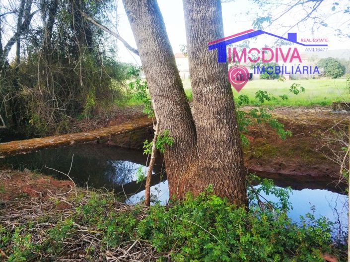 Image No.17-1 Bed House for sale