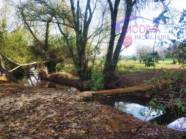 Image No.3-1 Bed House for sale