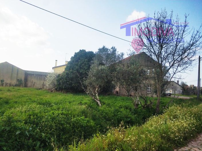 Image No.4-1 Bed House for sale