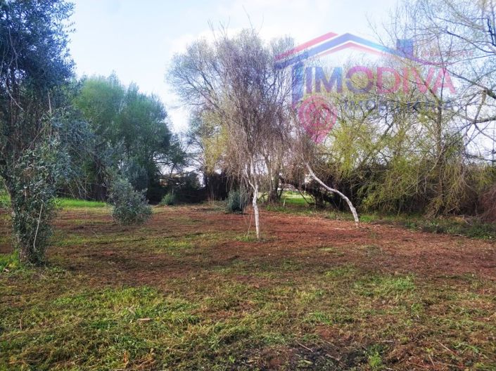 Image No.9-2 Bed House for sale