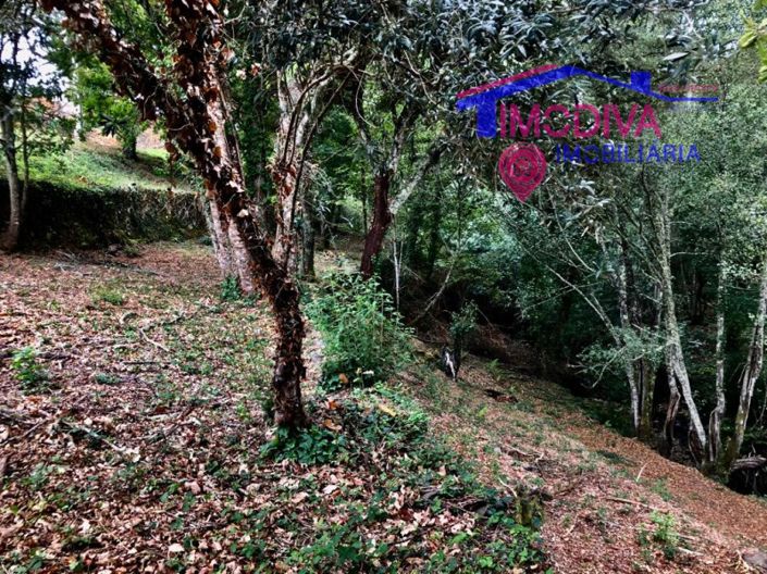 Image No.10-Plot for sale