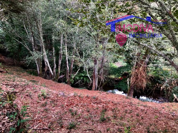 Image No.4-Plot for sale