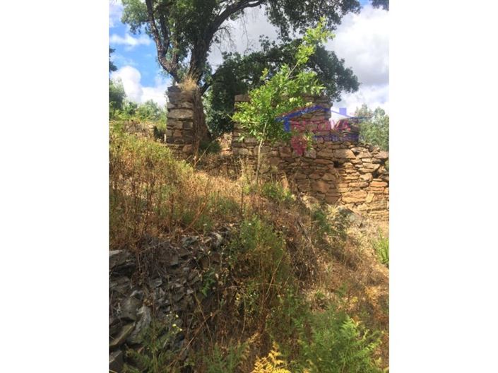 Image No.8-House for sale