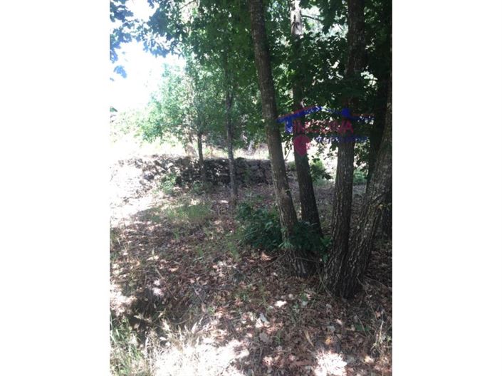 Image No.15-House for sale