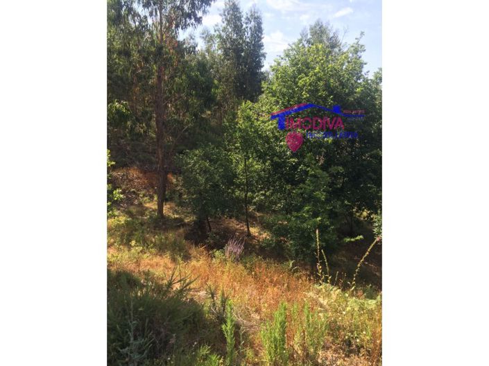 Image No.16-House for sale