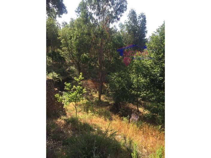 Image No.18-House for sale