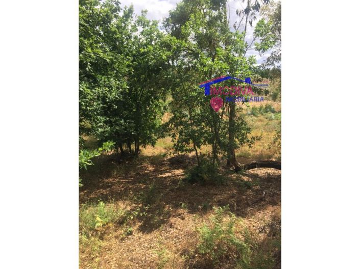 Image No.17-House for sale