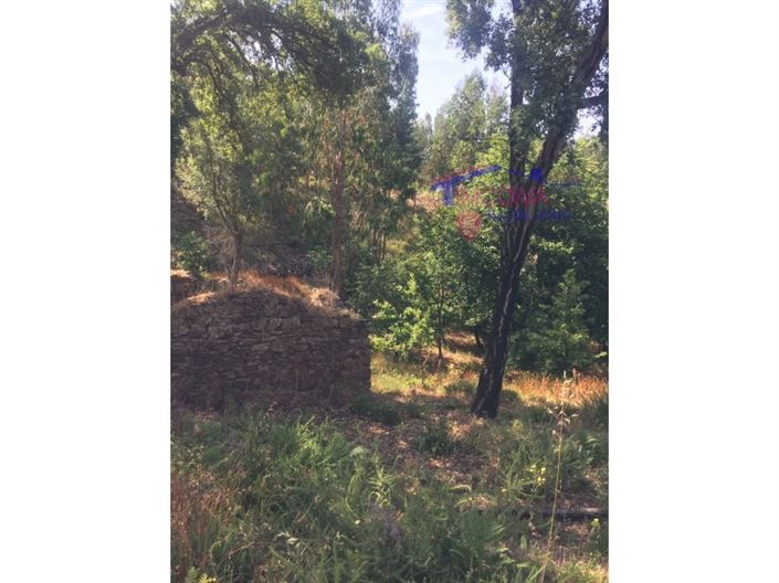 Image No.2-House for sale