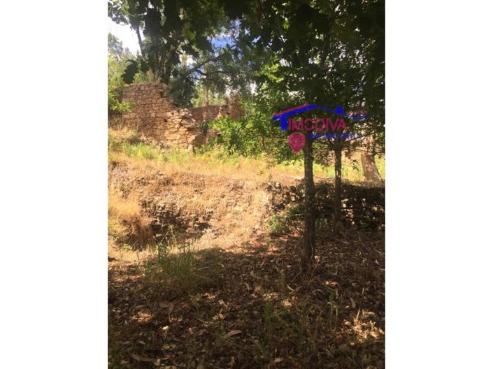 Image No.4-House for sale