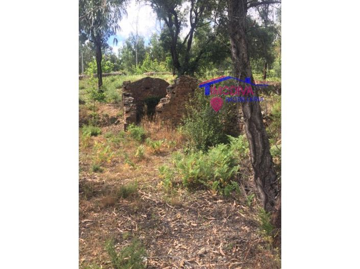 Image No.5-House for sale