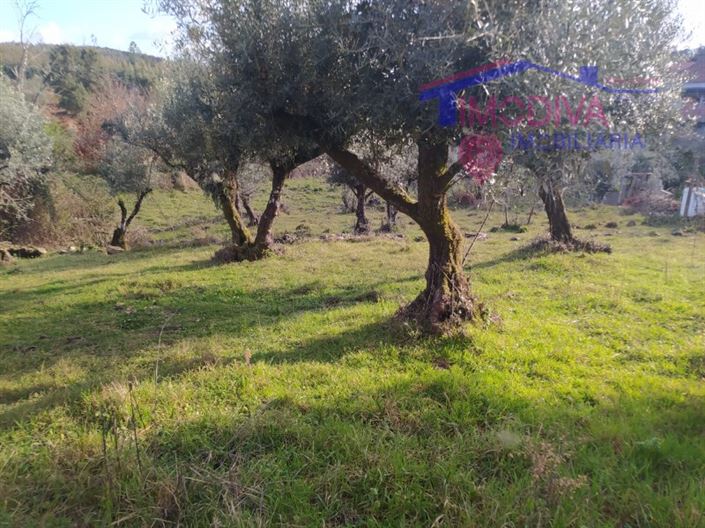 Image No.33-3 Bed House for sale