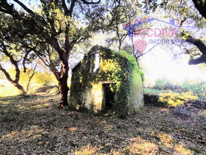 Image No.6-Plot for sale