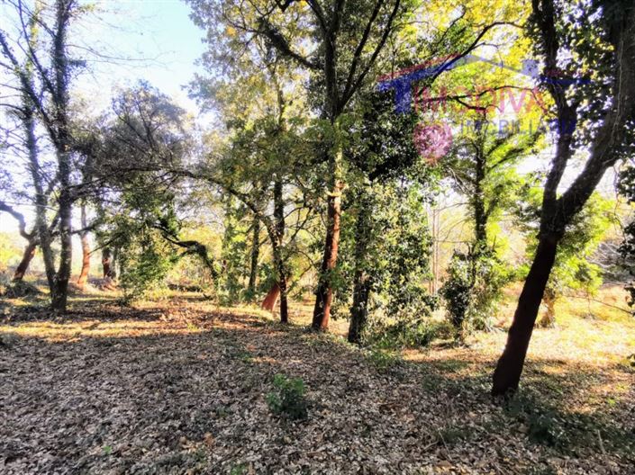 Image No.14-Plot for sale