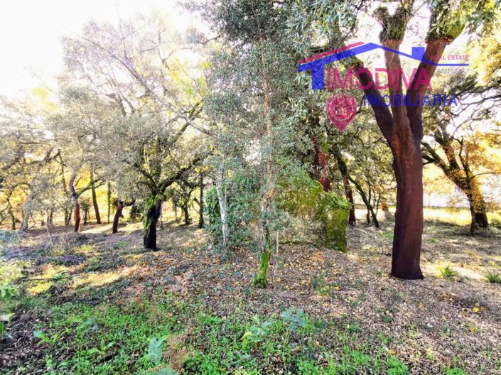 Image No.12-Plot for sale