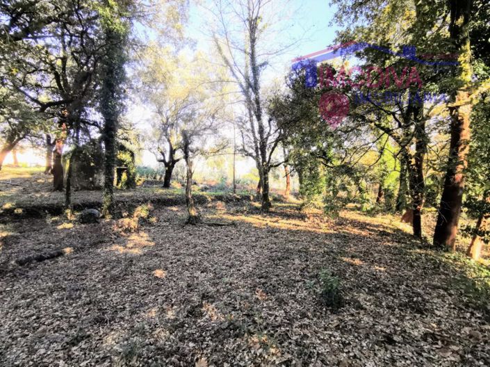 Image No.13-Plot for sale