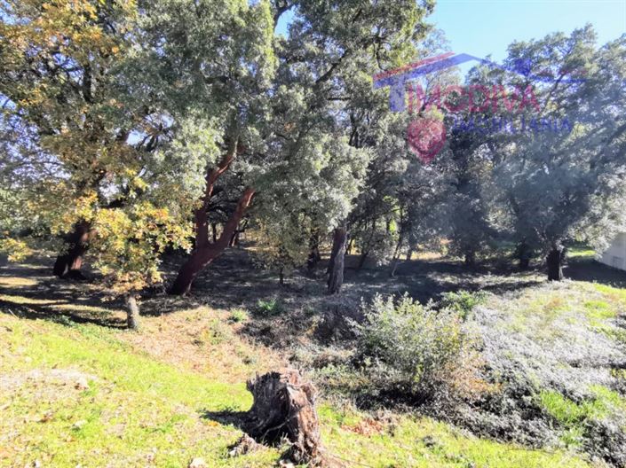 Image No.16-Plot for sale