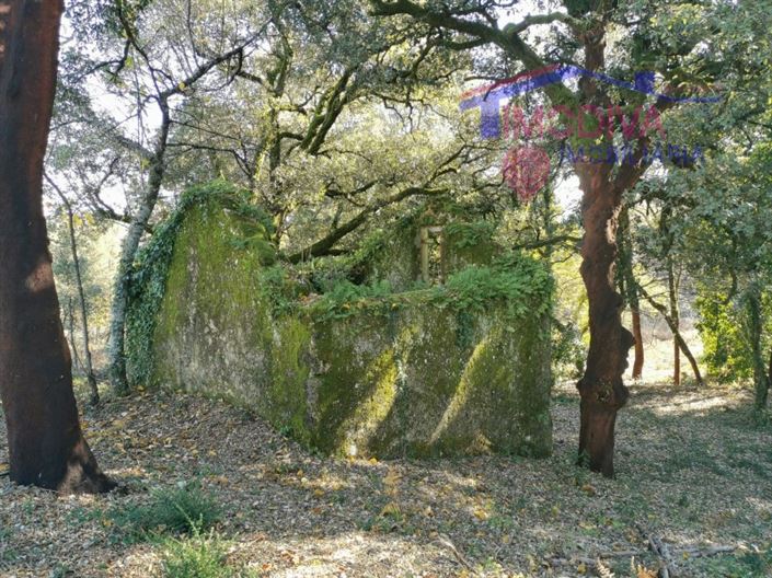 Image No.7-Plot for sale