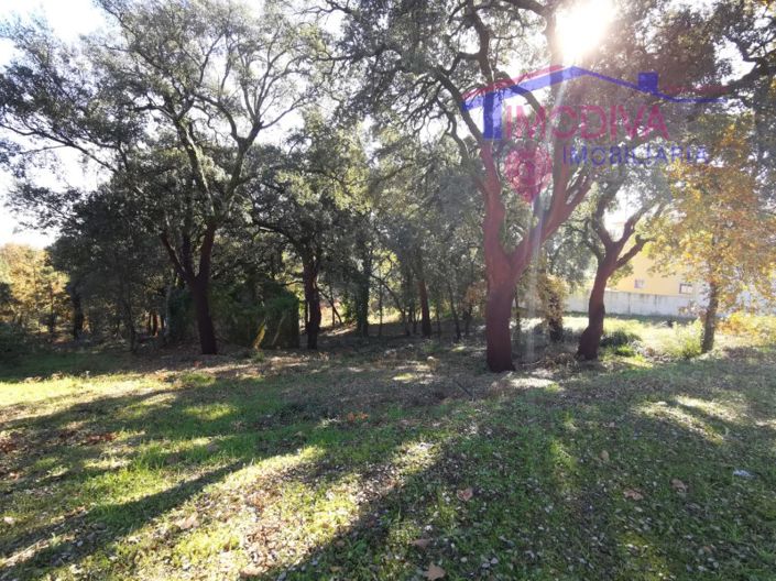 Image No.5-Plot for sale