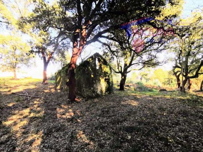 Image No.8-Plot for sale