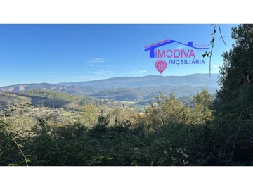 1 - Penela, Plot