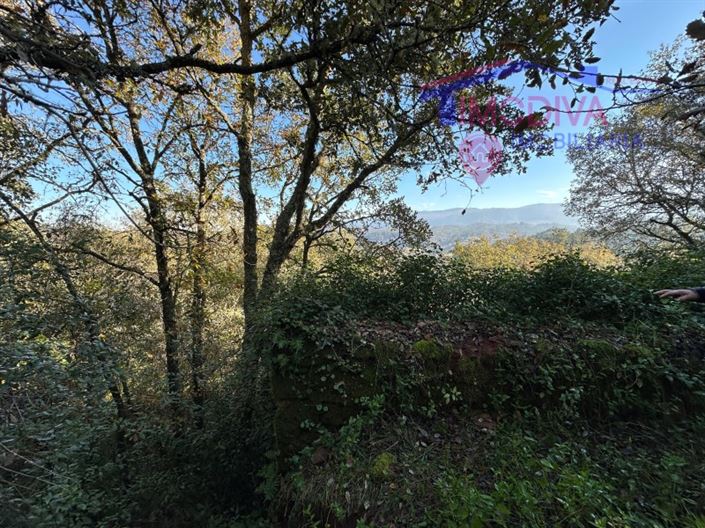 Image No.11-Plot for sale