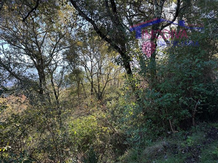 Image No.12-Plot for sale