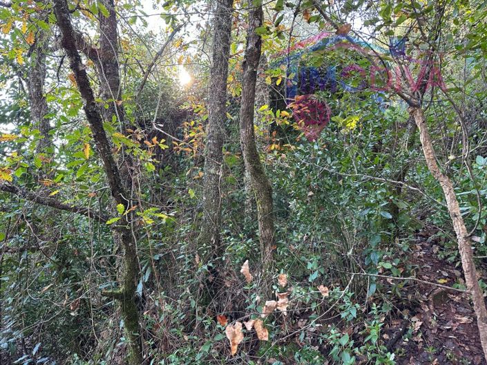 Image No.18-Plot for sale