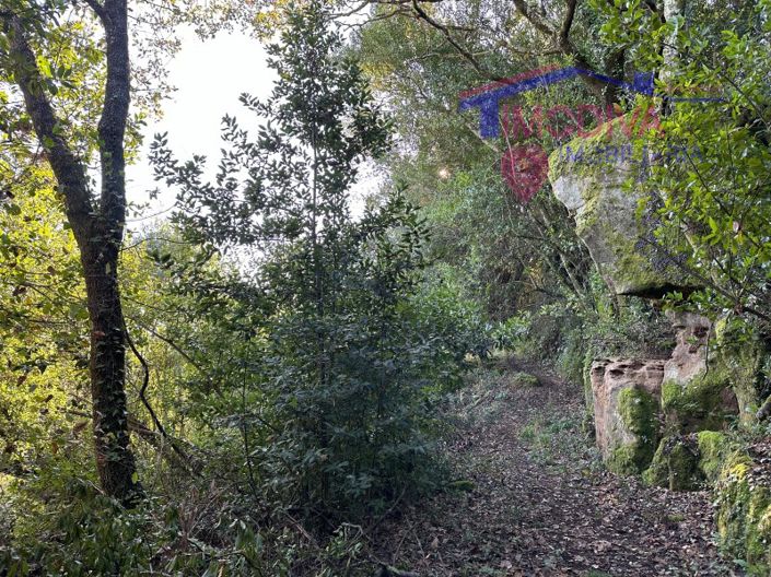 Image No.22-Plot for sale