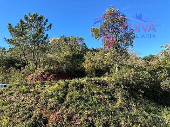 Image No.24-Plot for sale