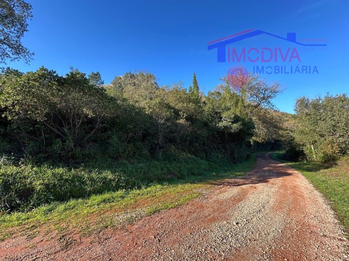 Image No.28-Plot for sale