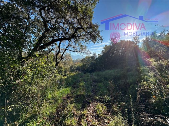 Image No.3-Plot for sale