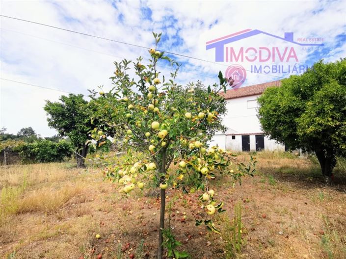 Image No.7-Maison de 3 chambres à vendre à Pedrógão Grande
