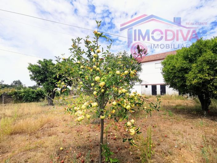 Image No.8-3 Bed House for sale