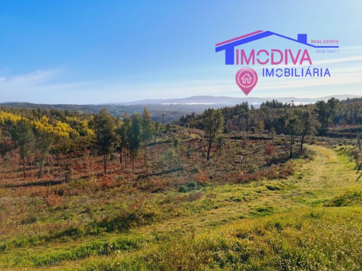 Image No.6-Plot for sale